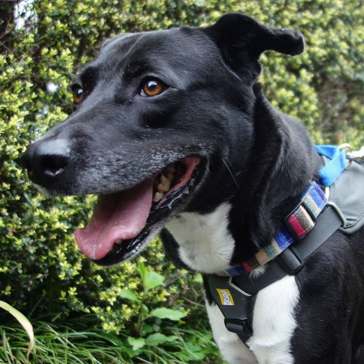 Ce1faede 17ce 4257 b058 3e6afc47bd85 1650675515945