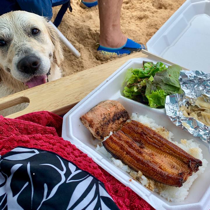 Ce1fcd9e 13e8 4ae4 a510 ae77aa0ed3f7 1568346283198