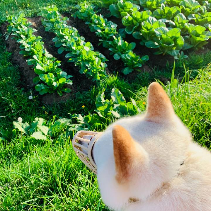 Ce1ffb43 30c2 4ecc a643 bd01265a7ad4 1567978775928