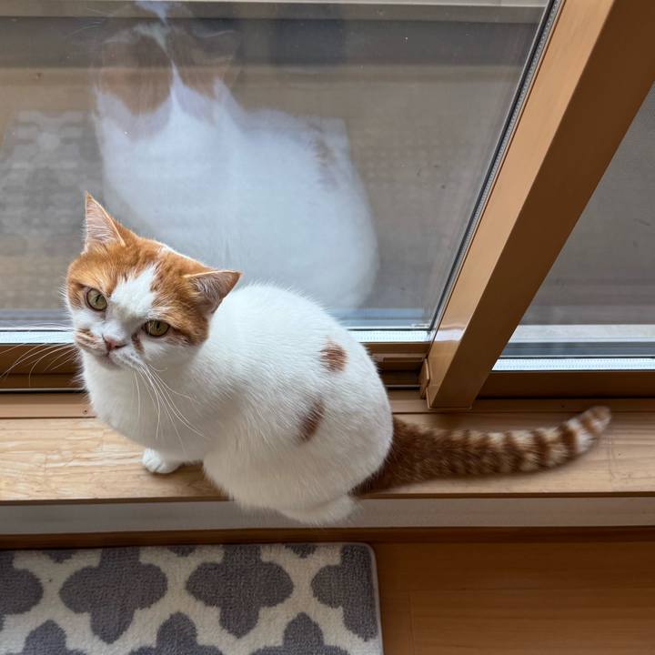 Ce2007d2 47be 4e15 a2ce 175d81f3b737 1766989828060