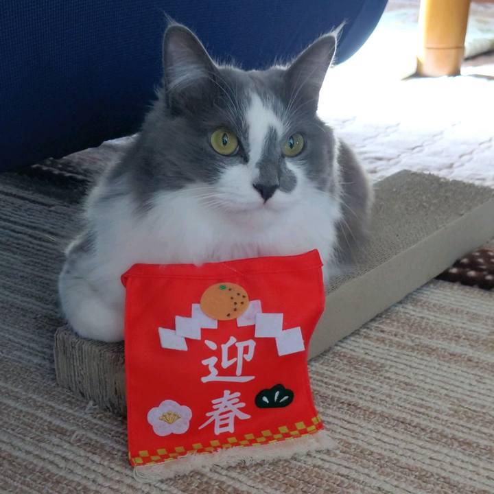 Ce201e77 ed1b 49e5 a93c 666c05c2f7de 1609498363737