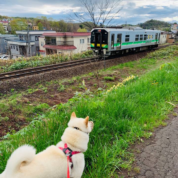 Ce203333 8e0d 4275 8833 65cd2cdffda4 1589148234061