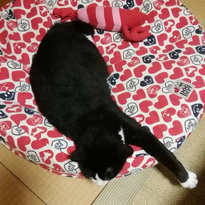 Ce20484a 3648 4b66 b0d9 9e56f0d64d57 1564665826800