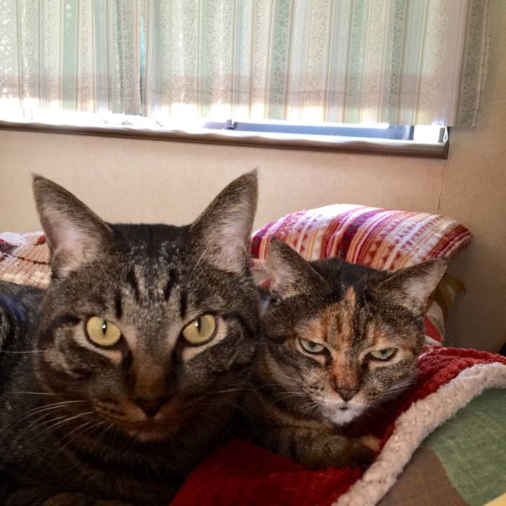 Ce20576b 8b61 45c4 ba6b c7e8503c2978 1508202977535