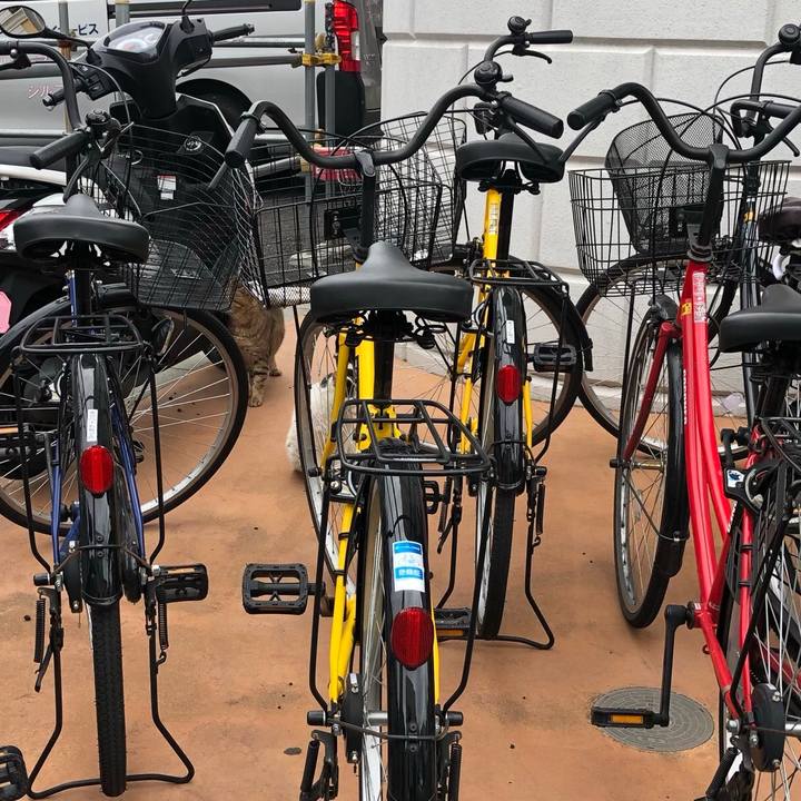 Ce207b7e 2496 4a61 8c85 6b6570f2bee4 1562346532777