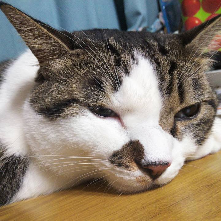 Ce20822e 33f1 489b a873 37cc06aa69e0 1663981209548