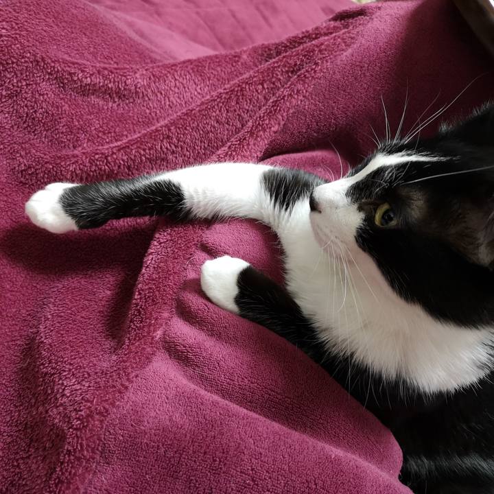 Ce20bfa3 2d1e 44c3 81c2 fb04460f3ab7 1544870662669