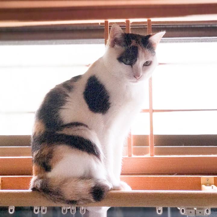 Ce20cfdd 9d7c 4bc9 928e 1e316423b134 1531407401285