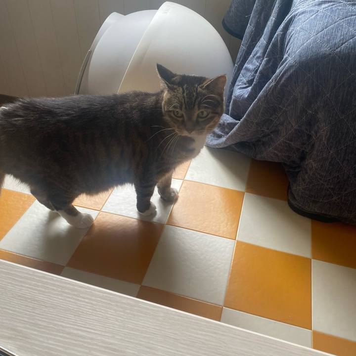 Ce211393 a842 4455 b686 7e3675a0e7ea 1717290229008