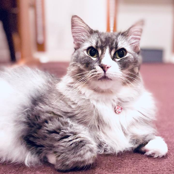 Ce21558f 3369 47ef b0d9 e5a5f72ae949 1754234749124