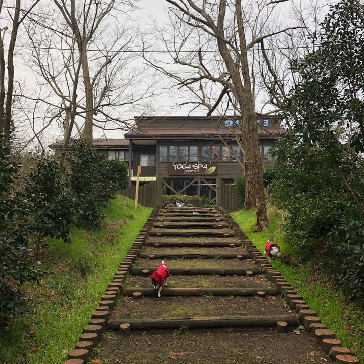 Ce21684d 3a95 4ad8 ba0f 0254fc7d60c4 1581811739063