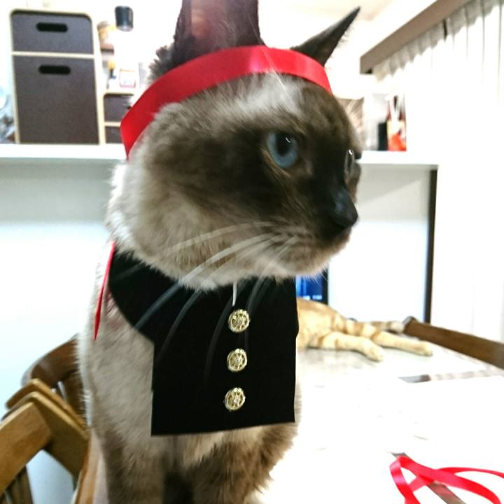 Ce2171f9 c6eb 45b2 b279 26829ecb2841 1539082649690