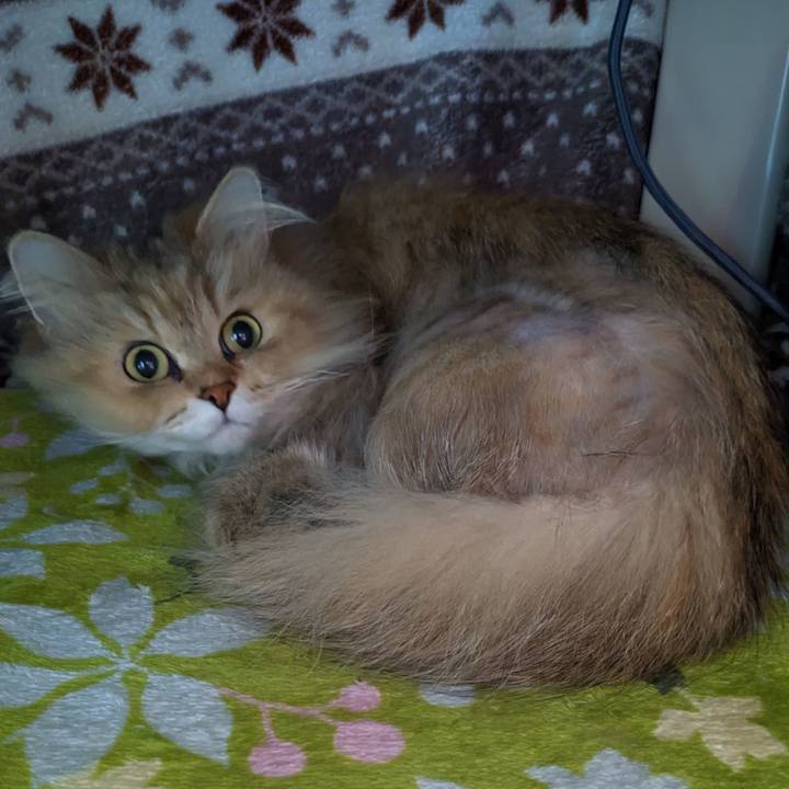 Ce217c86 63f2 45e6 a946 62f6140e3374 1681695348477