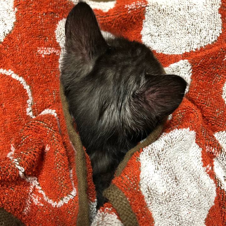 Ce218a9c b964 45ea afec 909b5d786ddf 1604153546045