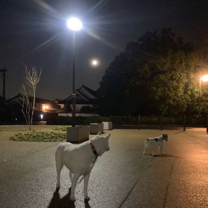 Ce219830 b185 4d45 99fb 8131ce0c2cc8 1545478436220