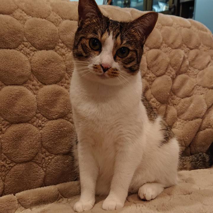 Ce21f314 0aeb 46b7 98a6 520da8f4e4a9 1574601367174