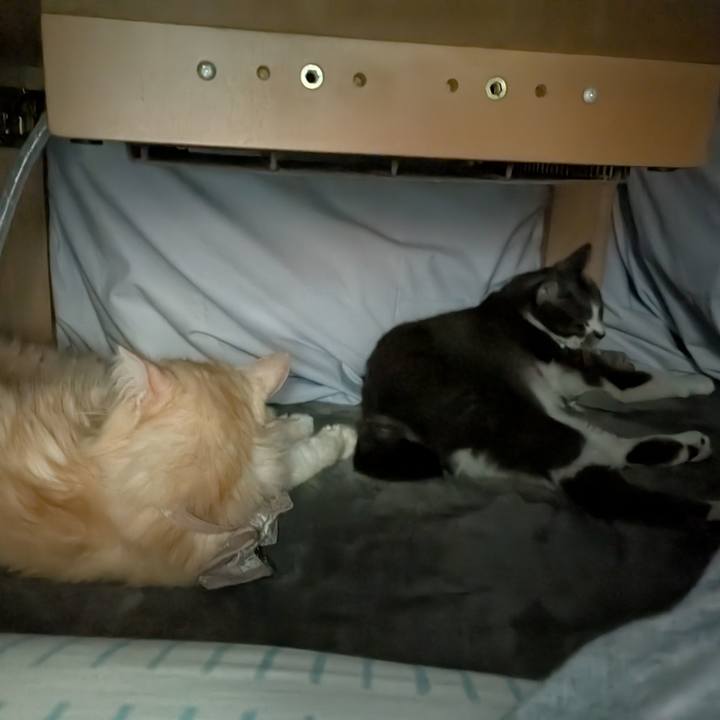 Ce21fcfc 904e 45d3 9fde a8affce15642 1733747318406