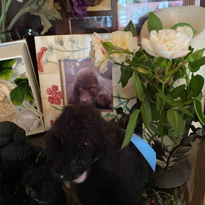 Ce222b7d 37fa 4816 919c 32bb0a131b96 1619652030949