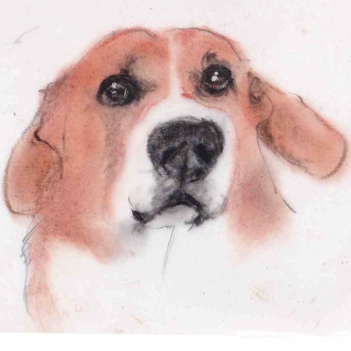 Ce223e92 bdf9 4f6a 8a84 d77af12dac15 1629302519765