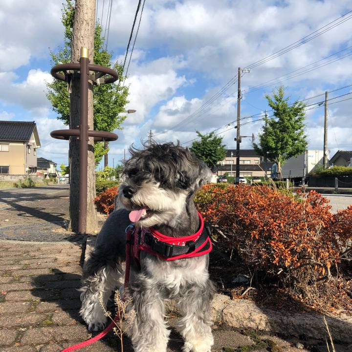 Ce228b05 bc06 4e82 ae57 16f938d58d2c 1534461762303