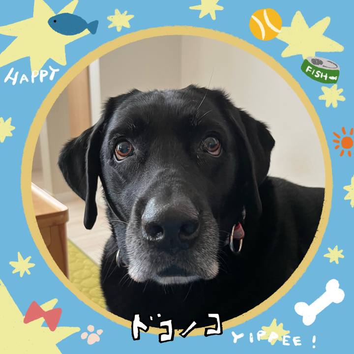 Ce229a62 f891 4dfe a3dd 423d0fa8ae63 1720774588719