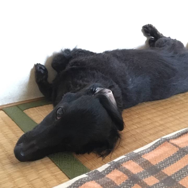 Ce22ad0c ec0d 43cc a73a 6a1986cb3555 1534199509064