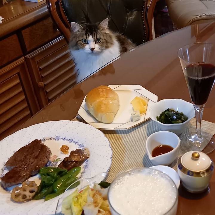 Ce22bf64 516a 4ab5 8a89 1ce521a80489 1637404410372