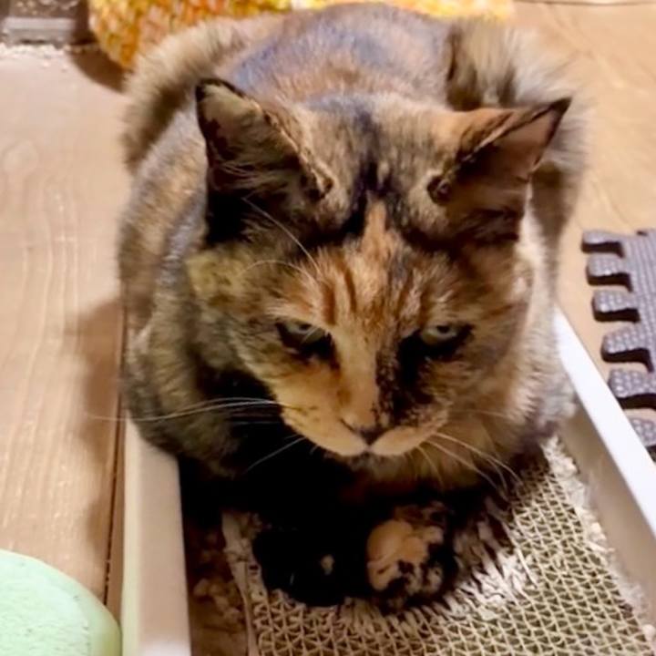 Ce231306 512c 44fb b53b 9ff406c0d572 1753730796023