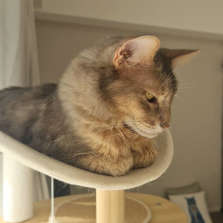 Ce2316b1 0fb6 43c2 bd72 8244c7081c03 1763531890695