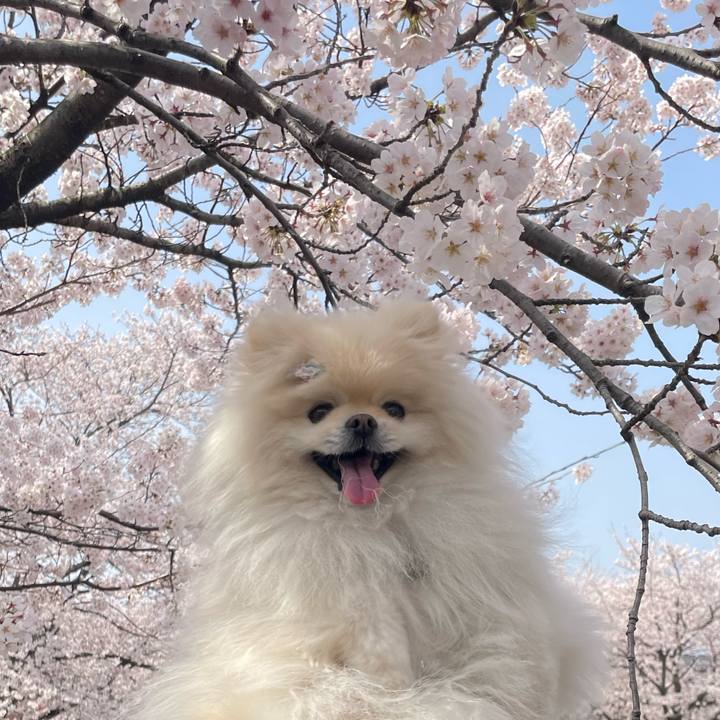 Ce234ce8 0338 42d1 a48a 6d516703dc18 1648683649888