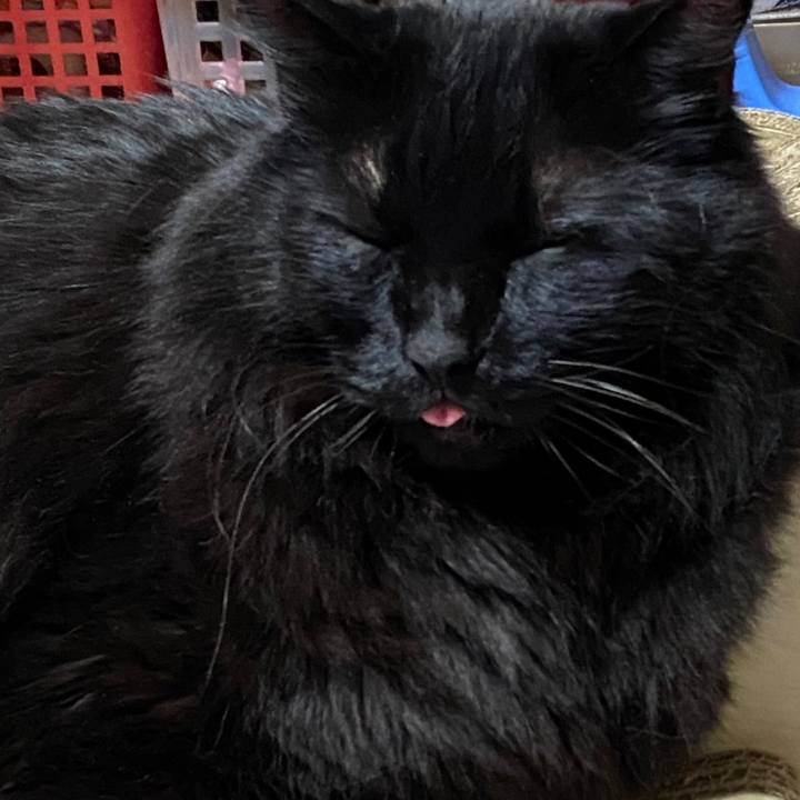 Ce235d4f f2a4 4137 8409 9cbeec0a99ef 1607860439806