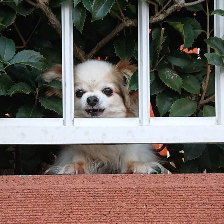 Ce2397c0 ddaa 4409 b0be 428285777ba0 1552296351637