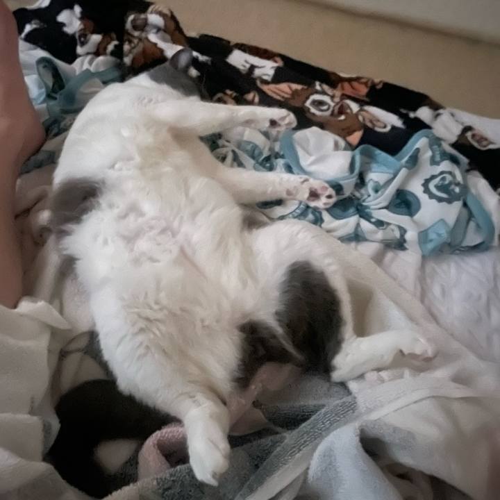 Ce23c3d1 f6e2 46d9 bb9b 2b919bf8e837 1749153998768