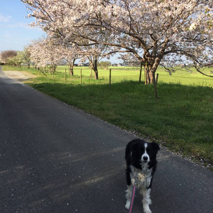 Ce23e01a 4681 4bc0 a59b cc2412a2dfe5 1586042341808