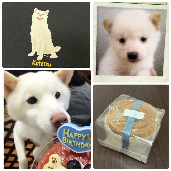 Ce2411e6 f8f4 4b75 8e87 07c64a66424d 1739024113728