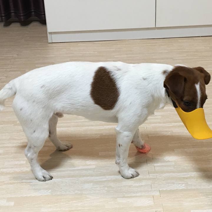 Ce2426fa 00a5 4ad0 b70a 44573775b099 1517923115192