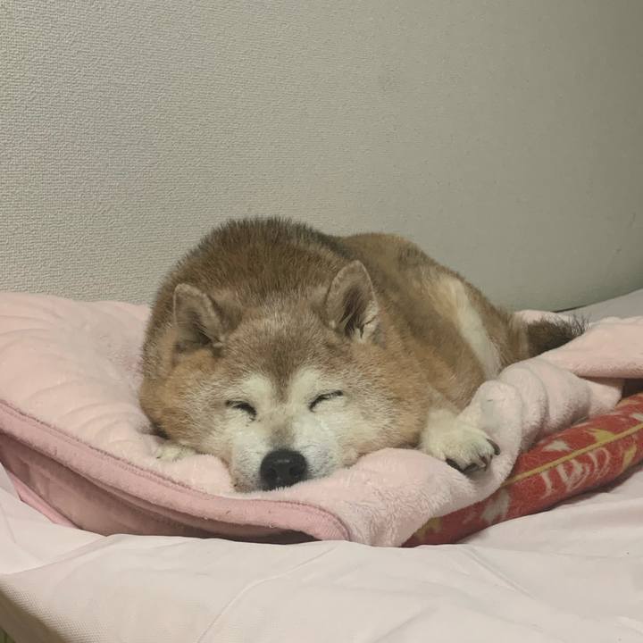 Ce2432c2 5bd6 404d 9bfa 5b25f7586739 1656166928878