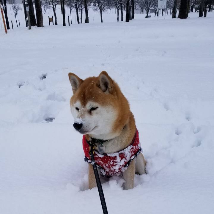 Ce243efd 6032 4eac 9642 70ce6883ef66 1608001970314