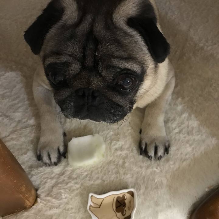 Ce2448e9 6f80 4b27 9e4e f7aac5592203 1589628958631