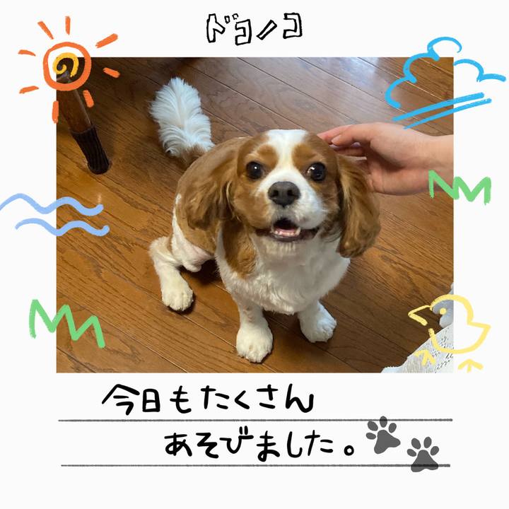 Ce245937 a85b 4de9 b98a ca9fd7bcc350 1755485845268