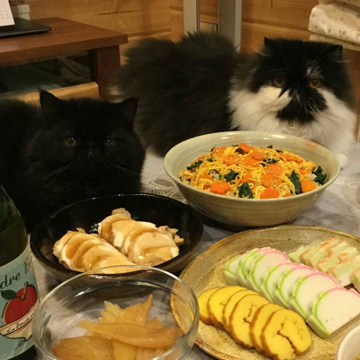 Ce246d0c cda1 49e2 b6dc 748aef92d67e 1514887688117