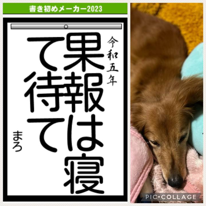 Ce2481a0 2767 4099 8dc0 d9814101bc5d 1672739536074