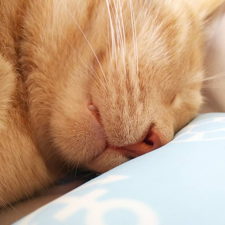 Ce248cb1 976d 4717 a987 f8062db34724 1595729258659