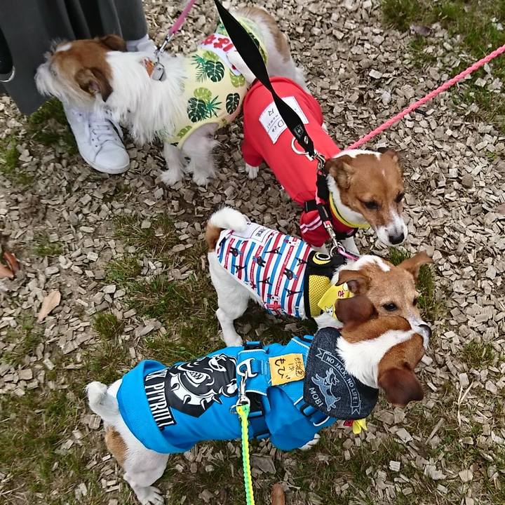 Ce248e4c 96bc 4010 9cf1 bc5bb60a8172 1555841887356