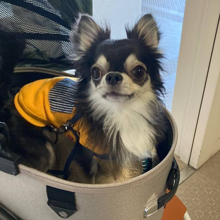 Ce24970b 2277 48c5 924e 1fc99a81c2b2 1681016945162