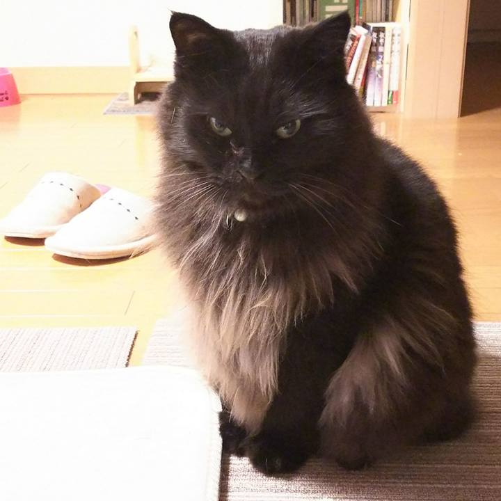 Ce24df7d 393c 48c5 a3a1 f32931adf122 1515851730906