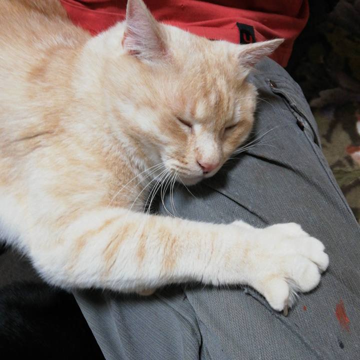 Ce24f840 29de 47ee bdab a99564eeab41 1618609576882