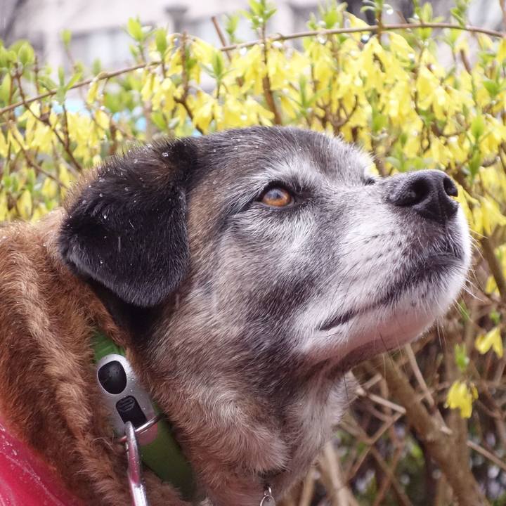 Ce2526cf 297b 4d66 94a4 f0f48bc3875f 1631752648242