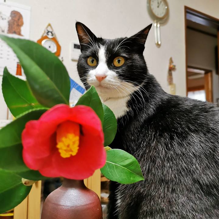 Ce254eec e5eb 4cb5 b505 9a18612ff323 1673756912336