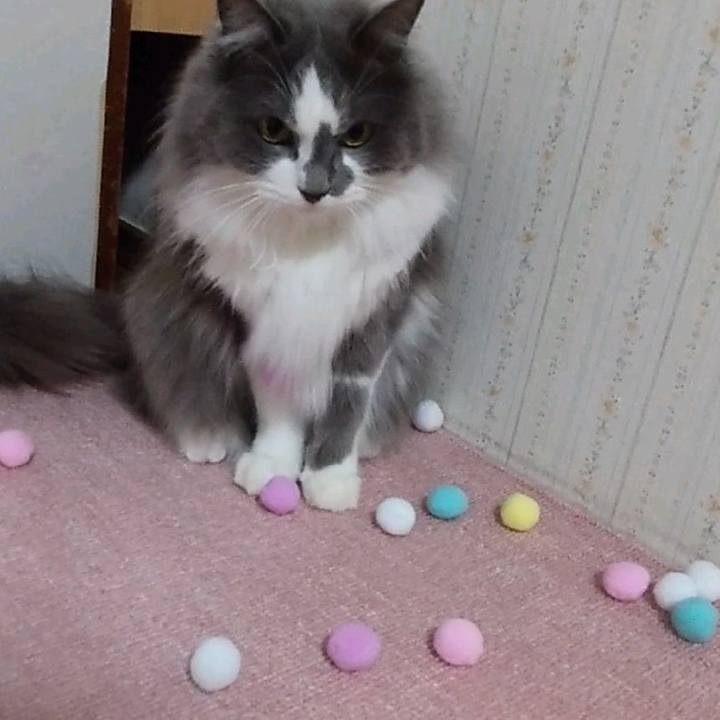 Ce256f62 9760 4345 8bc4 d3a96e277812 1650430330007